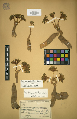 LE 01043072