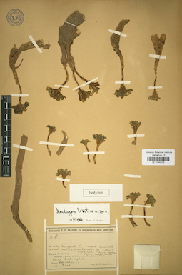 LE 01043073