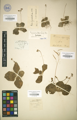LE 01043104