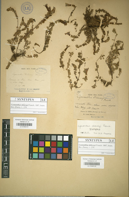 LE 01043120