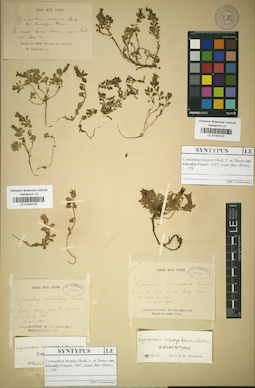 LE 01043123