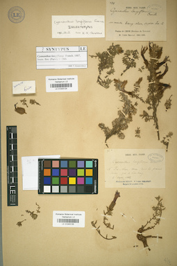 LE 01043124