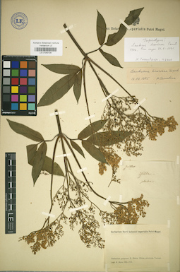 LE 01043134