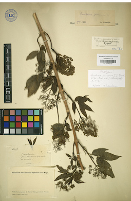 LE 01043137