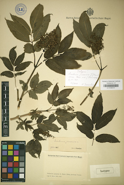 LE 01043141