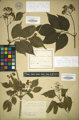 LE 01043144
