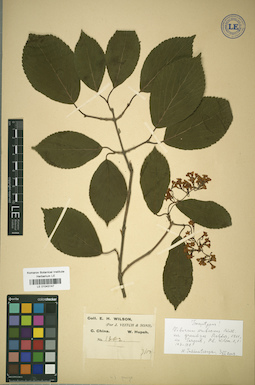 LE 01043147