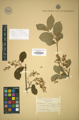 LE 01043154