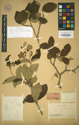 LE 01043158