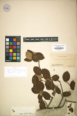 LE 01043159
