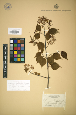 LE 01043163