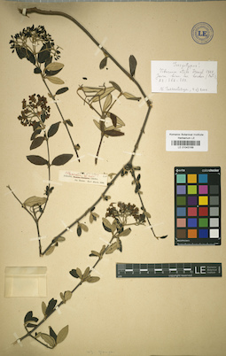 LE 01043169
