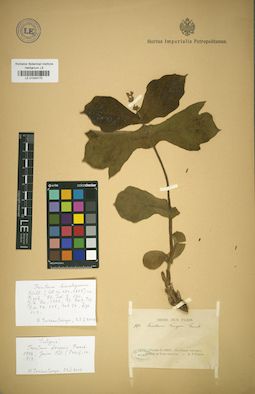 LE 01043170