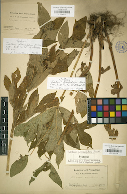 LE 01043174