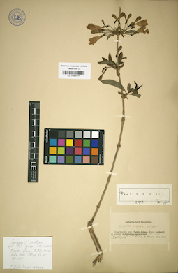 LE 01043177