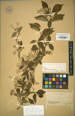 LE 01043178