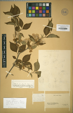 LE 01043179