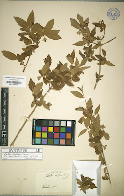 LE 01043185