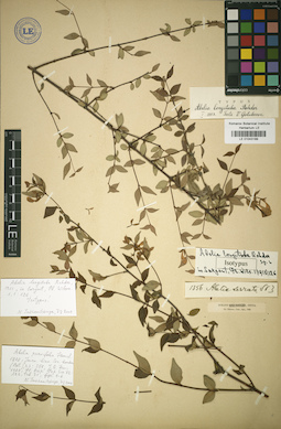 LE 01043189