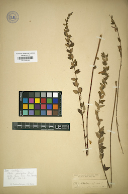 LE 01043190