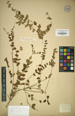 LE 01043191