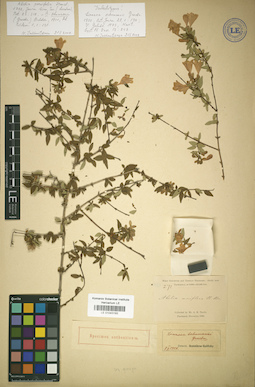 LE 01043193