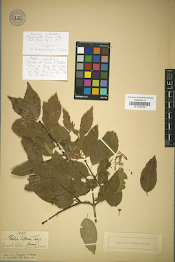 LE 01043194