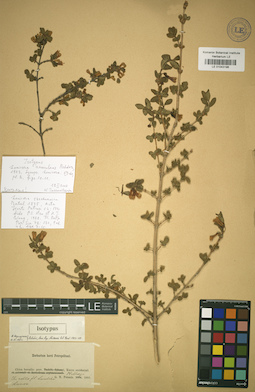 LE 01043196