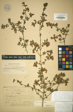 LE 01043197