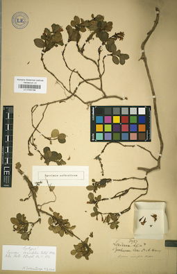 LE 01043198