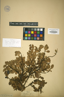 LE 01043199