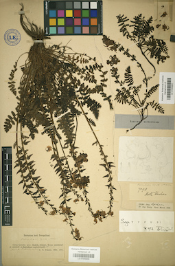 LE 01043200