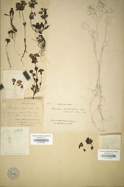 LE 01043204
