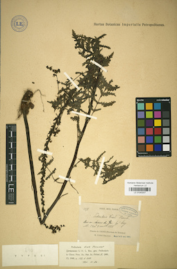 LE 01043207