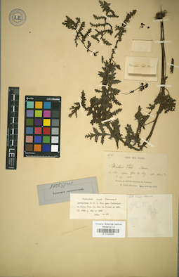 LE 01043208