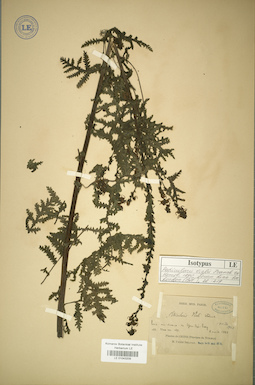 LE 01043209