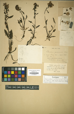 LE 01043212