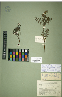LE 01043214