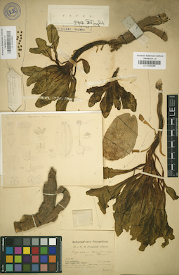 LE 01043800