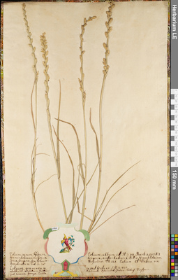 LE 01084405