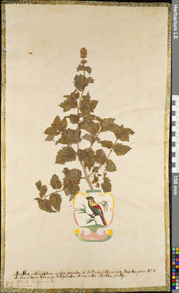 LE 01084444