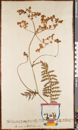 LE 01084457