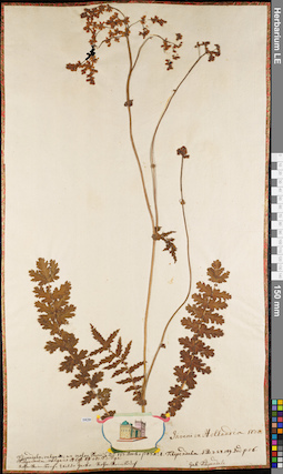 LE 01084462