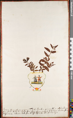 LE 01084468