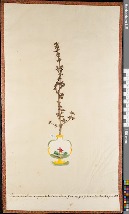 LE 01084470