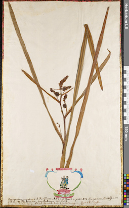 LE 01084472