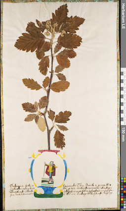 LE 01084480