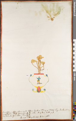 LE 01084484