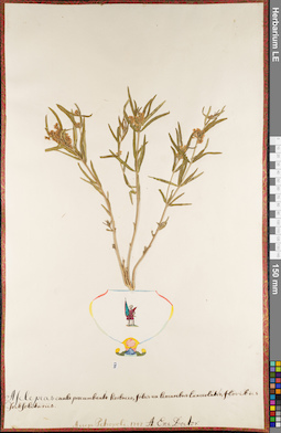 LE 01084492