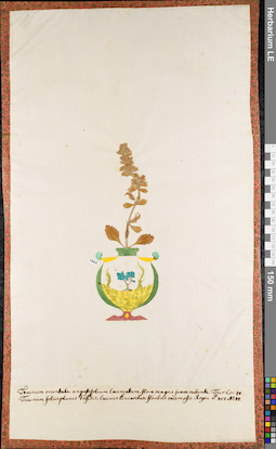 LE 01084507